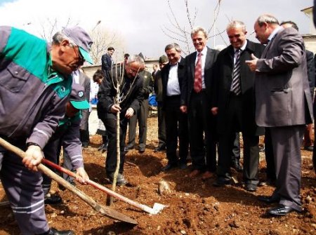Orman Bölge Müdürlüğü'nün 'kardeş Okul' Projesi Kapsamında Selalmaz'da Fidan Dikildi