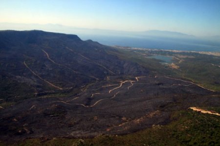 Orman Genel Müdür Yardımcısı Doğan: Seferihisar Yangınında Kasıt Var
