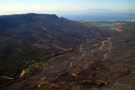 Orman Genel Müdür Yardımcısı Doğan: Seferihisar Yangınında Kasıt Var