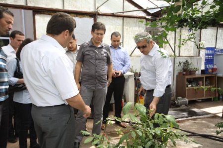 Orman köylülerine ceviz desteği sağlanacak