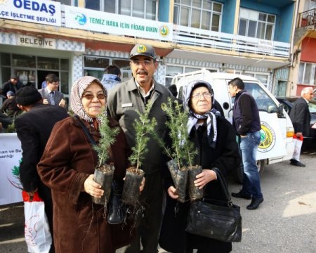 Orman köylülerine ürün veren 5 bin fidan dağıtıldı