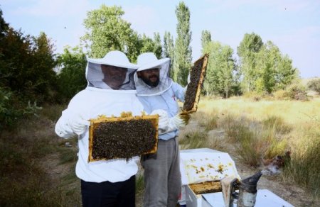 Orman köylülerini kalkındırmak için verilen kredi oranı artırıldı
