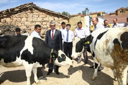 Orman köylülerini kalkındırmak için verilen kredi oranı artırıldı