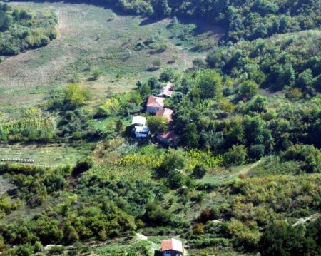 Orman köylüsü kredilerle destekleniyor