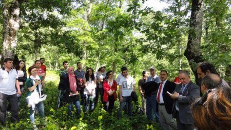 Orman Mühendisliği Öğrencileri Bursa Ormanlarını Gezdi