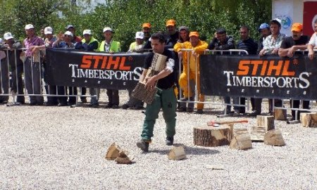 Ormancılar, kütüğü en hızlı kesmek için ter döktü