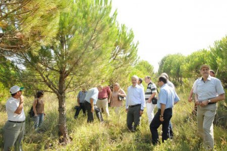 Ormancılar bilimsel denetim istiyor