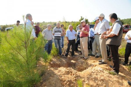 Ormancılar bilimsel denetim istiyor