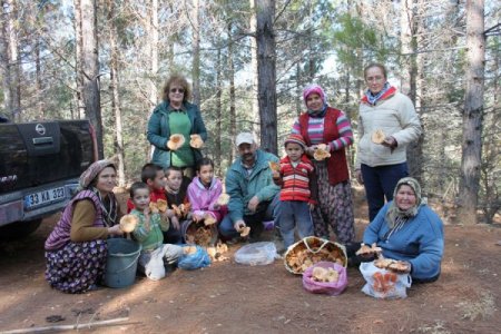 Ormanda yetişen doğal mantar ete rakip oldu