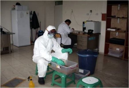 Ormanları Laboratuvar Böcekleri Koruyor