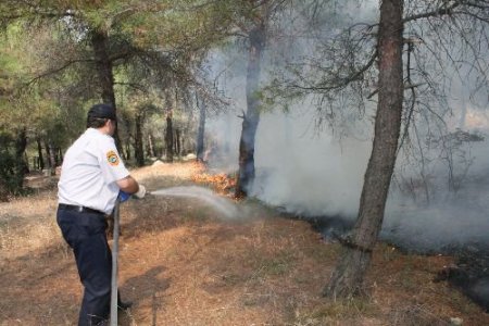 Ormanlık Arazide Çıkan Yangın Büyümeden Söndürüldü