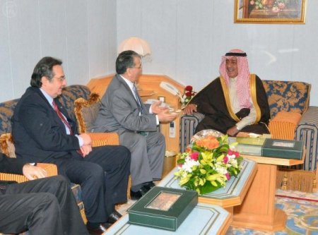 Ortadoğu Başdanışmanı Hürmüzlü, Suudi Arabistan'a mesaj getirdi