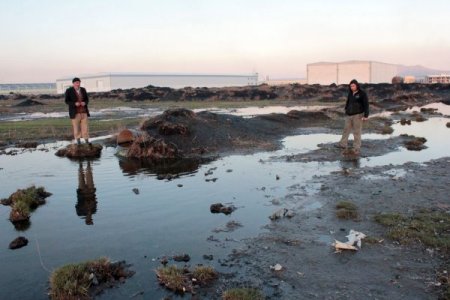 OSB’nin atık suları, dereye ve hayvanların otladığı meraya bırakılıyor