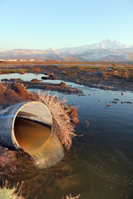 OSB’nin atık suları, dereye ve hayvanların otladığı meraya bırakılıyor