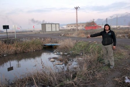 OSB’nin atık suları, dereye ve hayvanların otladığı meraya bırakılıyor