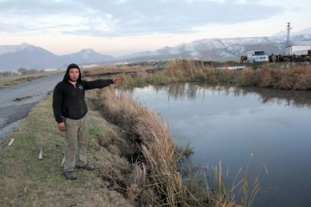 OSB’nin atık suları, dereye ve hayvanların otladığı meraya bırakılıyor