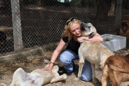 Osmangazi Sahipsiz Hayvanlar Merkezi Örnek Oluyor