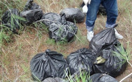 Osmaniye'de 108 kilogram kubar esrar ele geçirildi