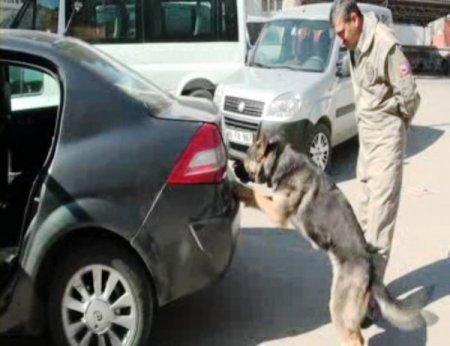 Osmaniye’de 11 Kilo Esrar Ele Geçirildi