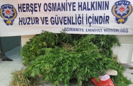 Osmaniye’de 32 torbacı cezaevine konuldu