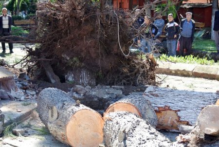 Osmaniye’de fırtına şehir merkezini yıktı geçti