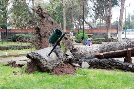 Osmaniye’de fırtına şehir merkezini yıktı geçti