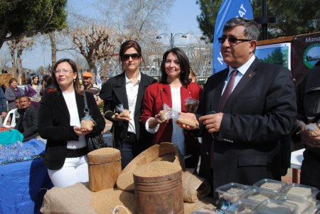 Osmanlı'da ünlü olan Manavgat susamı günümüzde markalaşmayı bekliyor