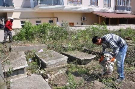 Osmanlı’ya sığınan Yahudilerin mezarlığı temizleniyor