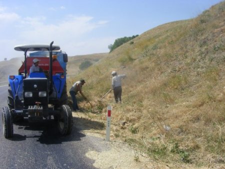Ot Sıkıntısı Yaşayan Vatandaş, Diken Toplamak İçin Hayatını Tehlikeye Atıyor