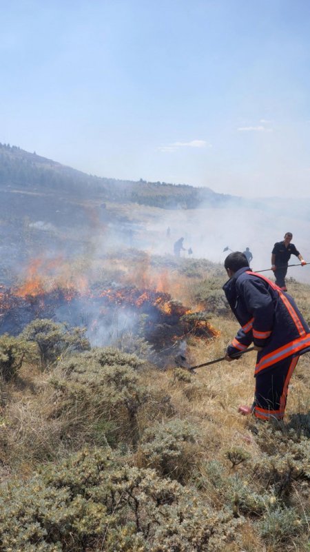 Ot Yangını İtfaiye Erlerinin Yoğun Çabası Sonucu Söndürüldü