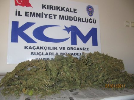 Otobüslerden Esrar Ve Kaçak Sigara Çıktı