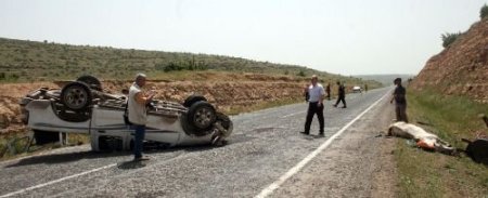 Otomobil At Arabasına Çarptı: At Öldü, 7 Kişi Yaralandı