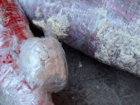 Otomobil torpidosunun arkasından esrar ve hap çıktı