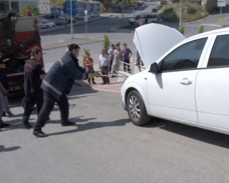 Otomobilde Yılan Avı (Özel)