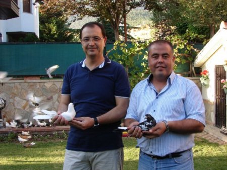 Otomobili getir, güvercini götür