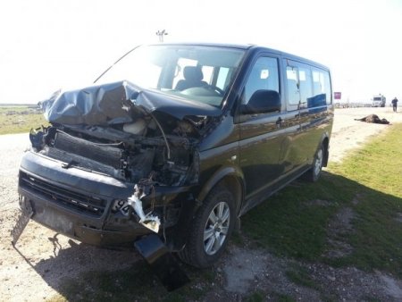 Otomobilin çarptığı inekler öldü