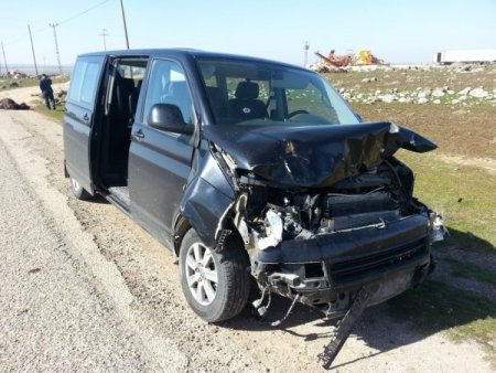 Otomobilin çarptığı inekler öldü