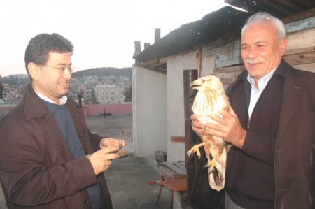 Otomobiliyle çarptığı doğanı tedavi ettirdi