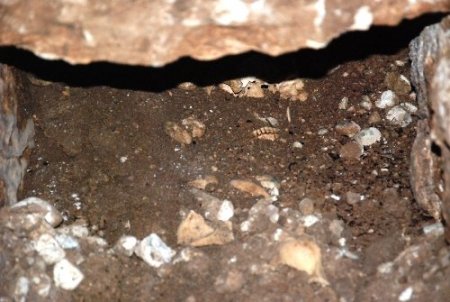 Otopark Kazısında İnsan Kemikleri Ortaya Çıktı