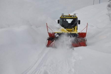 Ovacık’ta kar esareti