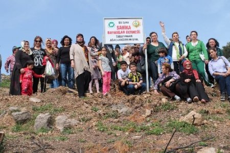 Oyuncu Fatma Belgen, Şahikalı bayanlarla fidan dikti