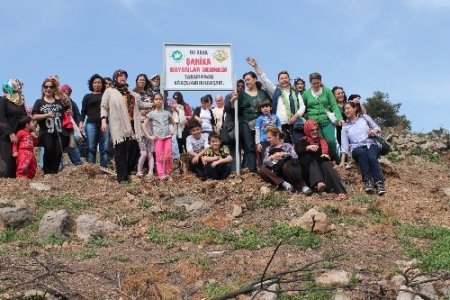 Oyuncu Fatma Belgen, Şahikalı bayanlarla fidan dikti
