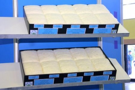 Özbekistan'daki Uluslararası Pamuk Fuarı Ekim'de Yapılacak