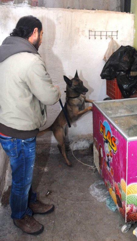 Özel Harekât'lı şafak operasyonu