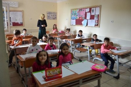 Özel Toros Finike Koleji boyama şenliği düzenledi