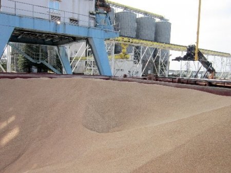 Özer: Hopaport, bölgenin en kapsamlı modern limanı