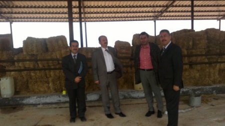 Öztiryaki, Yollarbaşı Beldesinde Damızlık Çiftliklerini Gezdi