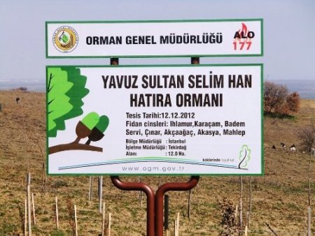 Padişah Yavuz Sultan Selim için orman kuruldu