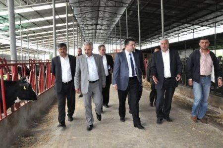 Pakdemirli: Meclis’te Çiftçinin Sesi Olacağım