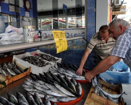 Palamut balıkçıların yüzünü güldürdü